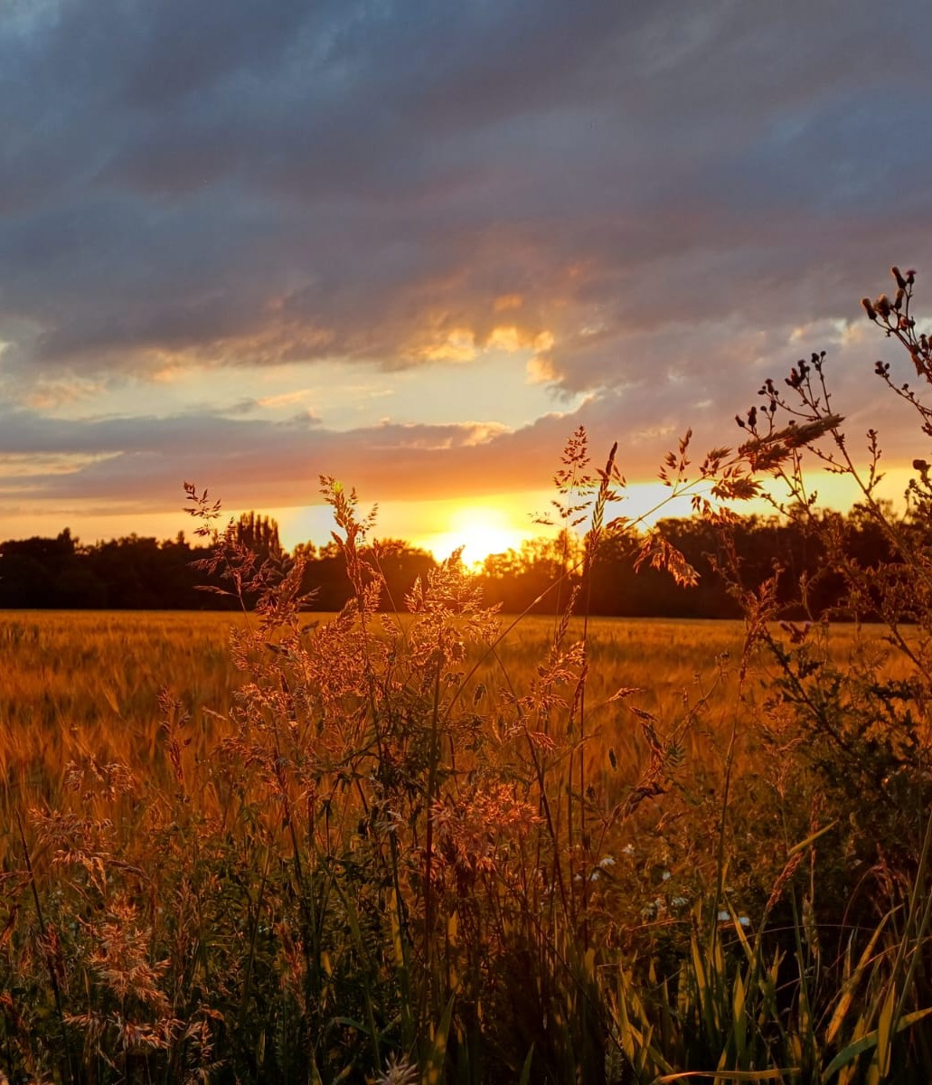 Frau sitzt am Meer im Sonnenuntergang